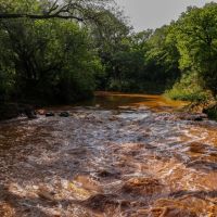 New Listing 354 Acres Jack County images 4