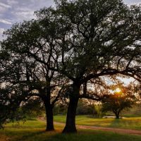 New Listing 354 Acres Jack County images 5