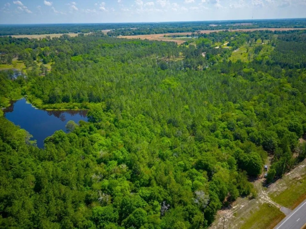 Worth County Pond Property featured image