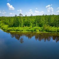 Worth County Pond Property images 2