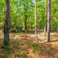 Worth County Pond Property images 3