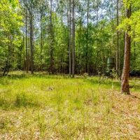 Worth County Pond Property images 5