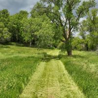 Rural Real Estate for Sale in Dane County Wisconsin images 2