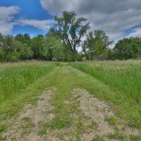 Rural Real Estate for Sale in Dane County Wisconsin images 3
