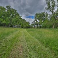 Rural Real Estate for Sale in Dane County Wisconsin images 4