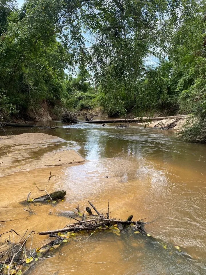 80.57 Acres in Smith County MS featured image