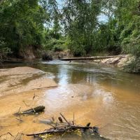 80.57 Acres in Smith County MS