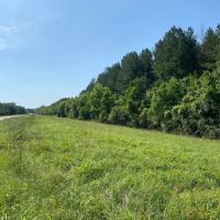 80.57 Acres in Smith County MS images 2