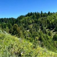 Henry s Fork Highlands Ranch images 4