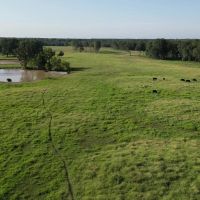 1075 Acres Welch s 3 Creeks Cattle Ranch images 4