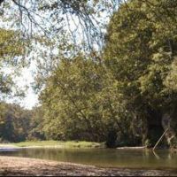 2161  acres Deer, Turkey, &Quial hunting area Deer Creek at Putnam, IA