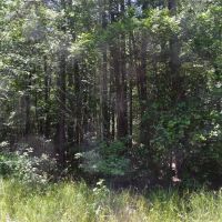 HWY 8 N images 2
