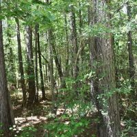 HWY 8 N images 3
