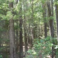 HWY 8 N images 4