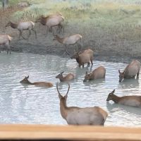 Crooked Creek Ranch images 3