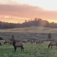Crooked Creek Ranch images 5