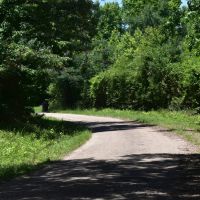 Bethel Church Tract images 3