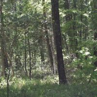 Bethel Church Tract images 5