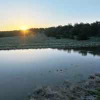 Wooden Nickel Ranch images 4