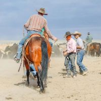 Vance Ranch images 5