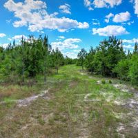 507 A Recreational Tract Aiken SC images 5