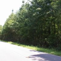 Snake Branch Road Tract