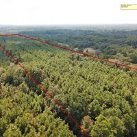 20.4 ACRES NACOGDOCHES COUNTY TEXAS images 2