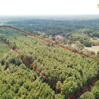 20.4 ACRES NACOGDOCHES COUNTY TEXAS images 3