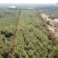 20.4 ACRES NACOGDOCHES COUNTY TEXAS images 4