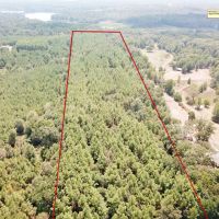 20.4 ACRES NACOGDOCHES COUNTY TEXAS images 5