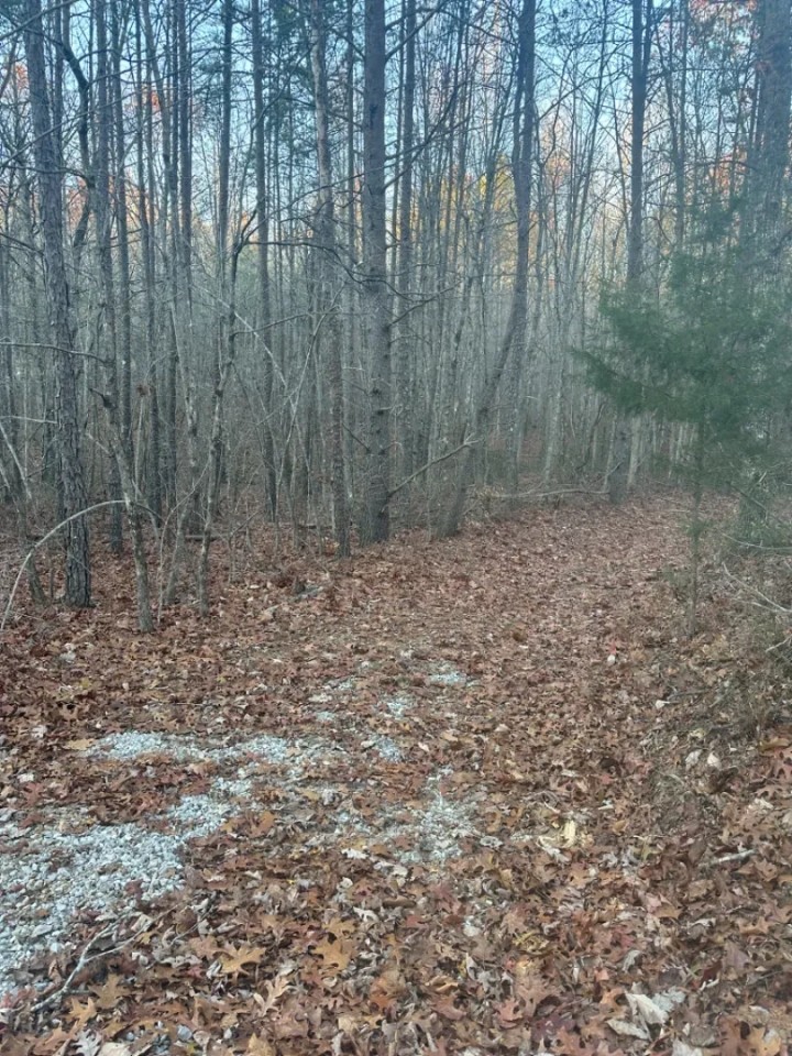 Lot 186-187 Big Piney Loop featured image