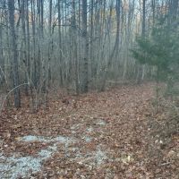 Lot 186-187 Big Piney Loop