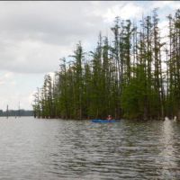 Hovey Lake - 7404 acres of  Deer & Turkey hunting land in Posey, IA