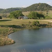 Whitetail Management and Trophy Packages with Full Amenities