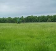 Daily Bird Hunting at Beautiful Ranch