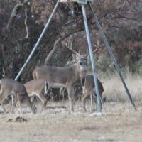 The 1,300 Acre Dream Ranch