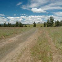 Bridge Creek WMA - 15,206 acres Mule Deer hunting land in Umatilla, OR images 5