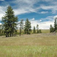 Bridge Creek WMA - 15,206 acres Mule Deer hunting land in Umatilla, OR images 1