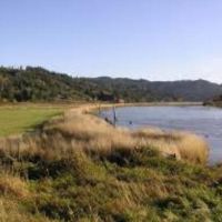 583 acres Turkey hunting land Coquille Valley in Coos, OR images 4