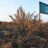 646 acre tract Coyote Springs - Quail hunting land in Lincoln, OR images 3