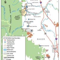 Elkhorn Wildlife - 8674 acres Deer & Turkey hunting tract in eastern Oregon images 4
