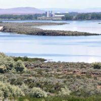 Irrigon Wildlife Area of 979 acres for hunting Quails in north Oregon