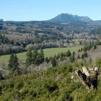 1,114 acres for hunting Deer Jewell Meadows in Columbia, OR images 3