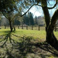 1,114 acres for hunting Deer Jewell Meadows in Columbia, OR images 4