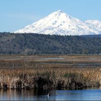 Klamath Wildlife Area of 3,412 acres for Quail hunting in Chiloquin, OR images 5