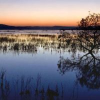 Klamath Wildlife Area of 3,412 acres for Quail hunting in Chiloquin, OR images 4