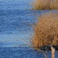 Klamath Wildlife Area of 3,412 acres for Quail hunting in Chiloquin, OR