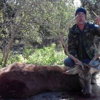2-day Affordable Whitetail and Hog Hunting Combo in Texas Hill Country