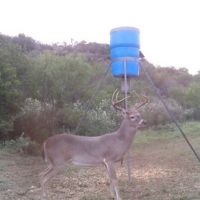 2 day/ 2 night Whitetail Hunting Package (w/unlimited Hogs)