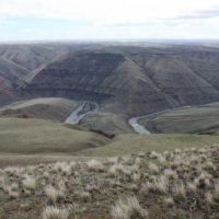 Lower Deschutes - 10,198 acres WMA for hunting Deer & Quail in Deschutes, OR images 4